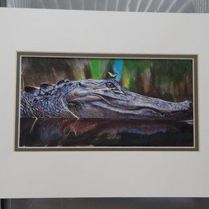 Matted print of a Florida Alligator.